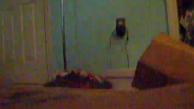 New Guitar Day! - Ibanez RG7321 unboxing смотреть онлайн