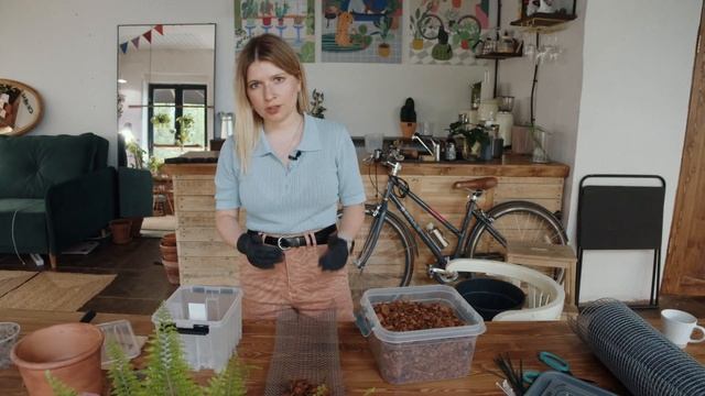 Филодендрон "Розовая принцесса" портит листья. Что делать? смотреть онлайн