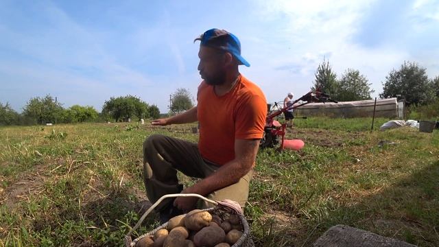 КОПАЕМ КАРТОШКУ МОТОБЛОКОМ ФЕРМЕР ПОД ПЛУГ смотреть онлайн