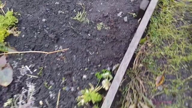 Состояния обожженных досок. Два года эксплуатации. смотреть онлайн