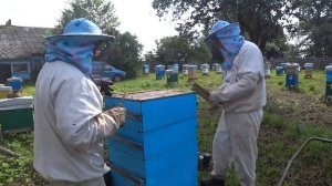 Технология оправдывает себя.  Снимаем магазины полные мёда на откачку.
