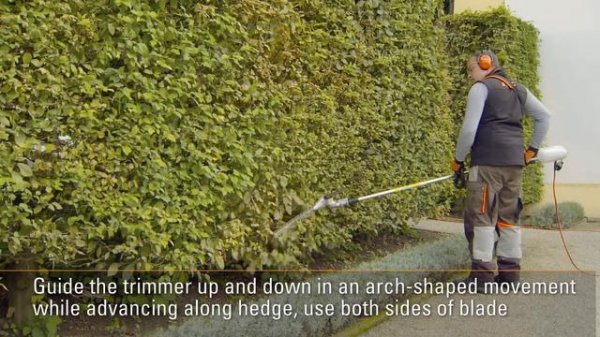 STIHL HLE 71 ꘡ How to cut vertical with an angled cutter bar | STIHL Tutorial
