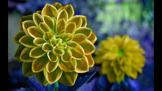 Наступило пасхальное утро смотреть онлайн