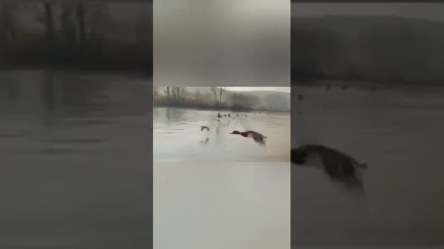 "Джалиловские чтения", номинация "Писатели-фронтовики на русском" смотреть онлайн