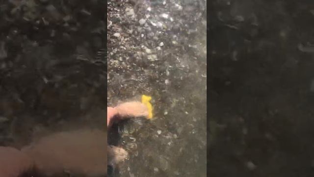 Белек отель CRYSTAL PARAISO VERDE. Температура воды в море. смотреть онлайн