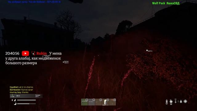 DayZ. BlackWood PVE. Как дела на Плюке ? Fedor Volkov ( Wolf ) смотреть онлайн