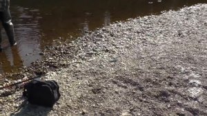 Ловля хариуса на таежной речке на бомбарду / Хариус на мушку