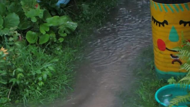 Дача, ливни. смотреть онлайн
