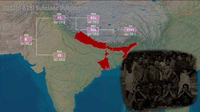 Subclade  Distribution of Y-chromosome DNA Haplogroup O смотреть онлайн