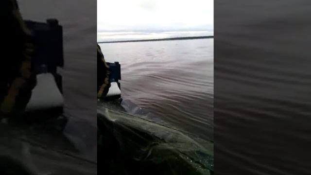 Ловим ряпушку смотреть онлайн