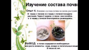 Биология 6 класс тема ПОЧВА