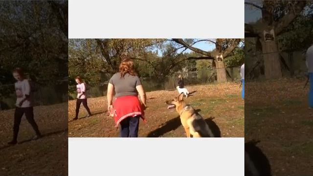 ОКД выдержка -тренировка смотреть онлайн