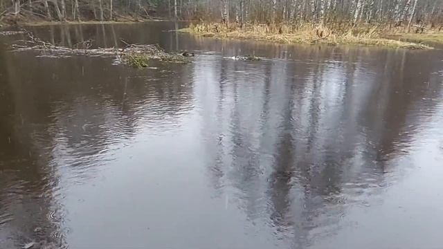 Первый оффроуд в 2021 году. Как Десна и Аист пережили зиму. Открытие сезона. смотреть онлайн