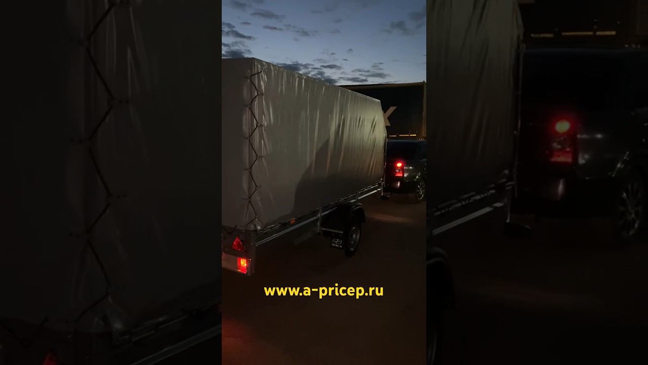 МЗСА 817717 исп.022 прицеп для снегохода купить #уфа #казань #набережныечелны #чебоксары #ижевск смотреть онлайн