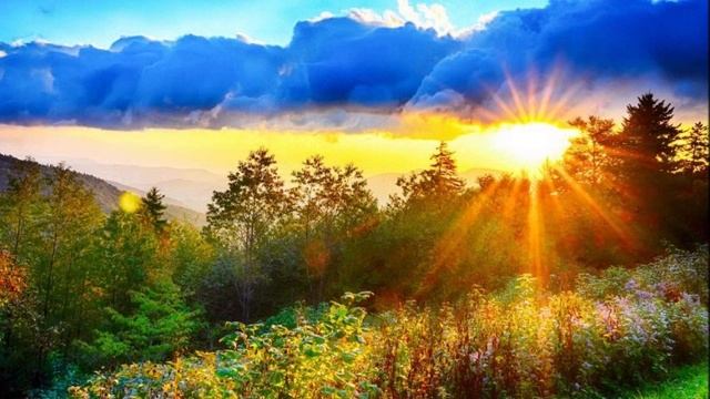 Непростое соседство