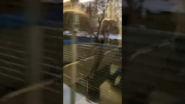 Г.Екатеринбург Скоростной электропоезд «Ласточка» ВИЗ - Екатеринбург Пасс. смотреть онлайн