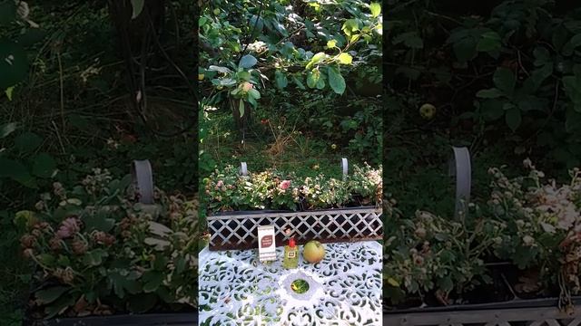 Рассказ про духи "Воздух осени" смотреть онлайн