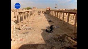 Şefkat Tepe | 39.Bölüm