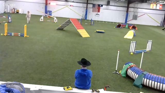 dog gone fun agility 1/9 смотреть онлайн