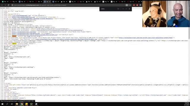 Technical SEO Audit for Niche Site Project (Olga Zarr of seosly.com) смотреть онлайн