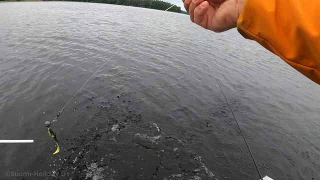 Ловля судака на озере Ruovesi с системой LiveScope