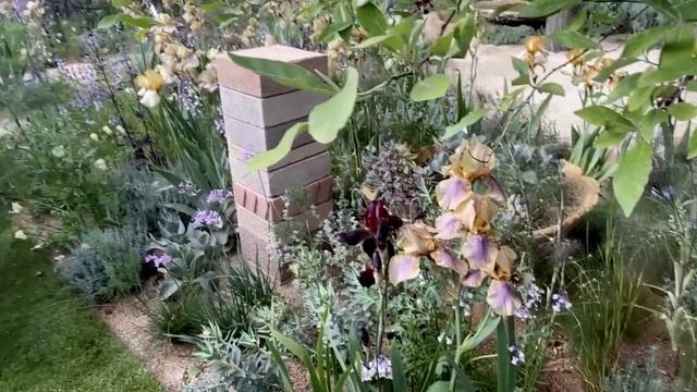 Выставка Цветов В Челси Лондон (Часть 3) - Chelsea Flower Show 2023 London ( Part 3 )