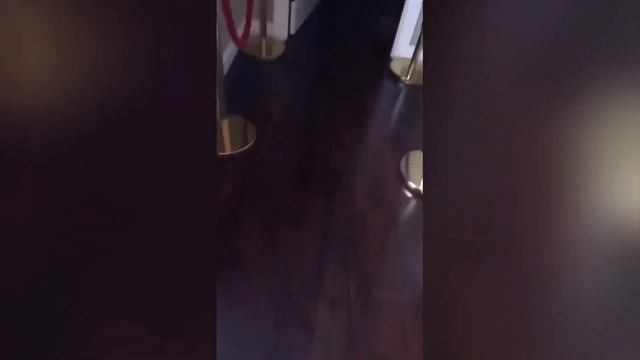 dog jumping down stairs minecraft смотреть онлайн