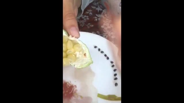 В Молдове уже лакомятся Маракуйей Северной. смотреть онлайн