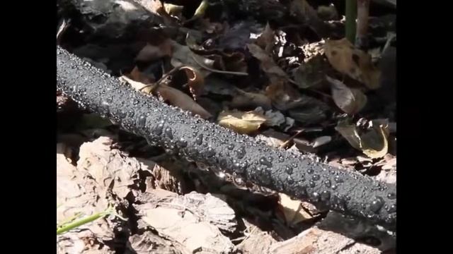 Сочащийся шланг