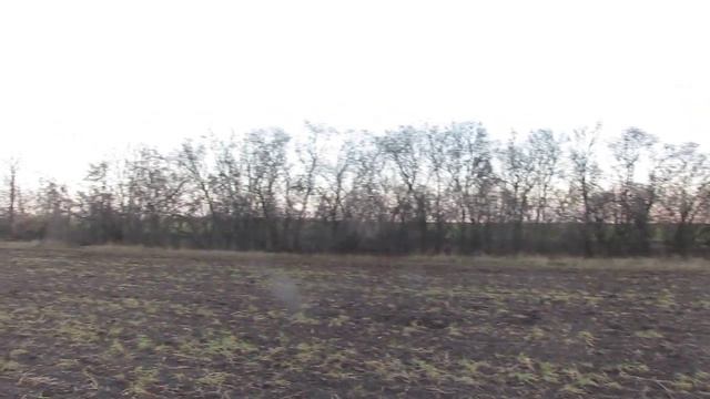 НАШЛИ АМФОРУ. смотреть онлайн