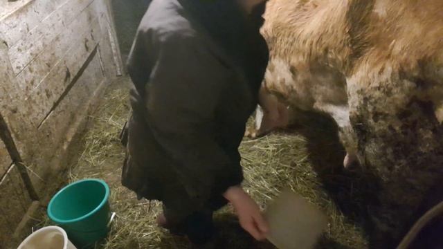 Покупка и продажа коровы смотреть онлайн