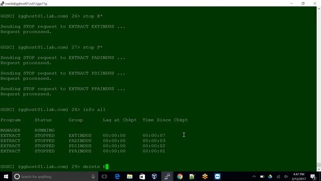 GOLDEN GATE TRAINING SESSION 12 смотреть онлайн