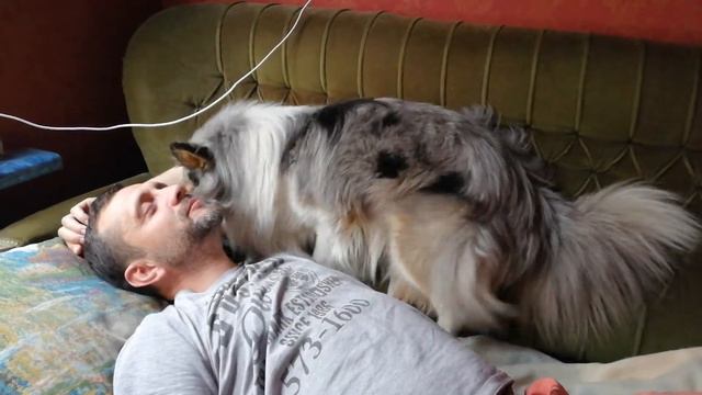 Шелти Йеове встречает своего человека смотреть онлайн