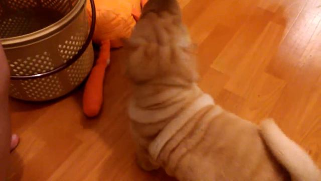 Наша буся смотреть онлайн