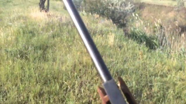 ОХОТА НА ВЯХИРЯ С ПНЕВМАТИКОЙ. ТЕСТ СТРАННЫХ ПУЛЬ. ОХОТА НА ДИКИХ ЛЕСНЫХ ГОЛУБЕЙ. смотреть онлайн