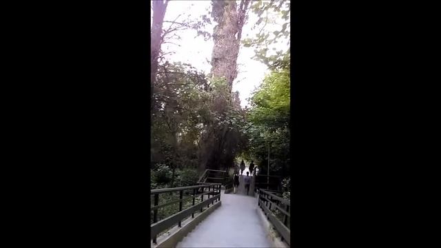 День четвёртый Буревестник Два часть 3 Лестница смотреть онлайн