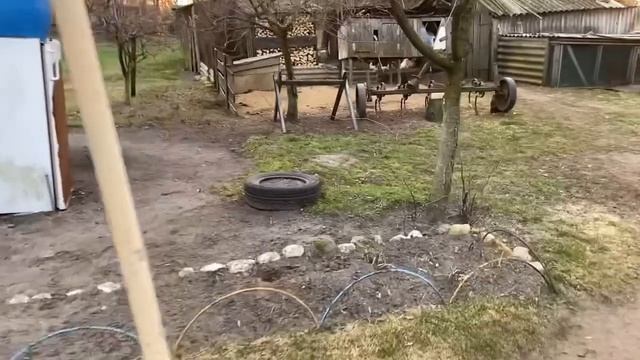 Кто куда/а я дома осталась одна?Сегодня у нас солнышко??Будет вкусный чай?? смотреть онлайн