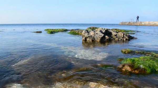 Весна идет | Spring is coming | Andrewtown (relax music video)