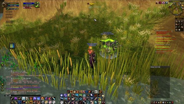 Goretooth - The Best Rare Pet For Hunter wow смотреть онлайн