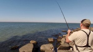 Ловля пиленгаса (пеленгаса или пелингаса) на флэт. Снова смотрю под воду.  Бердянск Азовское море