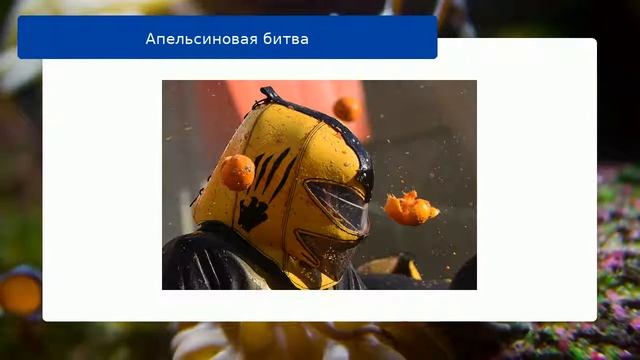 Апельсиновая битва смотреть онлайн