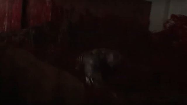 4K HDR ● The Shining (Ready Player One) ● Dolby Atmos смотреть онлайн