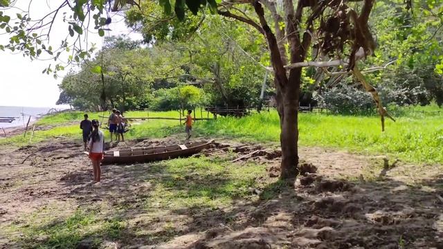 REALIDADE DA VIDA RIBEIRINHA/AMAZÔNIA/PARÁ смотреть онлайн