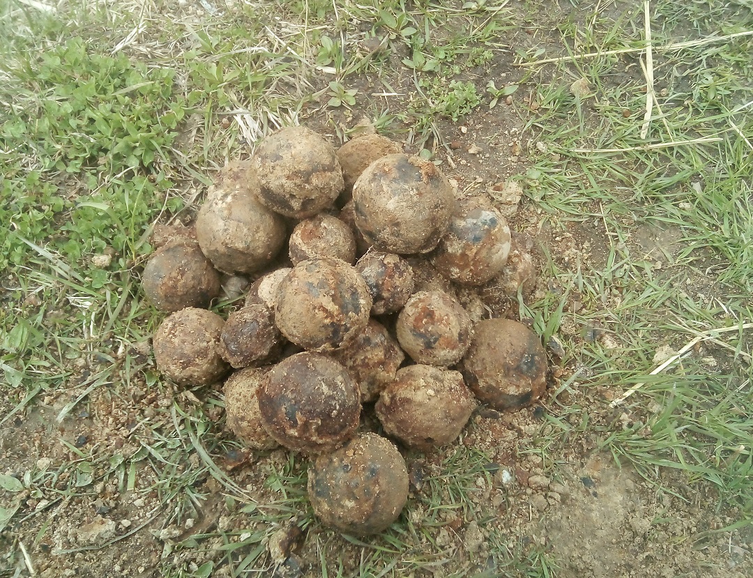 Металлокоп на разрушенной ферме с MD4030