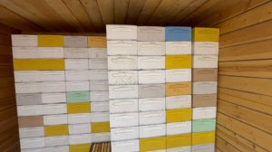 Откачка липы 2024