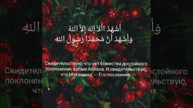 Истинная цель жизни всех Мусульман смотреть онлайн