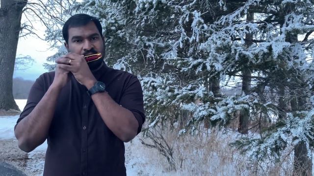 Hallelujah Leonard Cohen Harmonica cover by Andrew смотреть онлайн