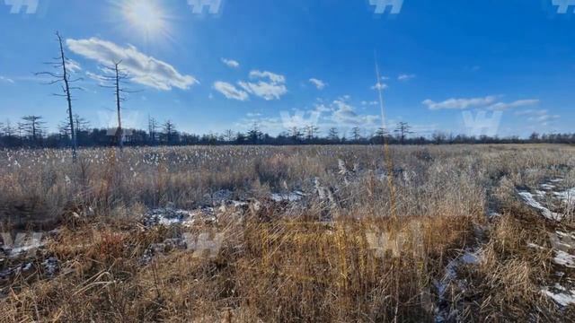 Мицулевка смотреть онлайн