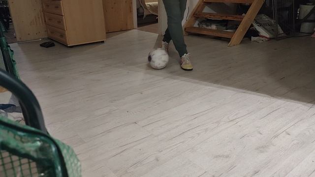 18.03.23 смотреть онлайн