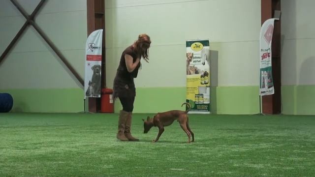 Сергеева Марина и Арте Антика Танго смотреть онлайн